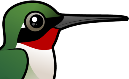 About The Ruby-throated Hummingbird - Cartoon Hummingbird (440x440), Png Download