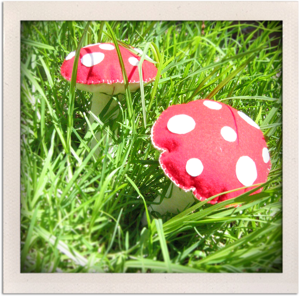 I'm So Into Toadstools Right Now & Loving My New Creation - Edible Mushroom (1181x1143), Png Download