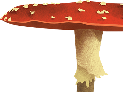 3mushroom - Agaric (400x300), Png Download