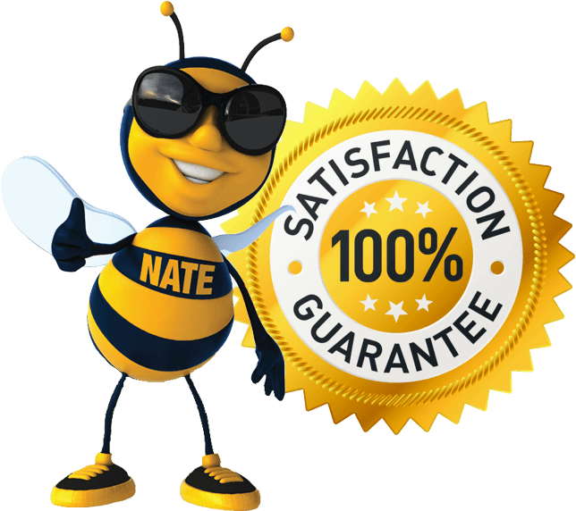 Satisfaction Guarantee No Stinger Promise - Cable Tie Supply Cts Brand - 11 Inch, 40 Lb Tensile (644x572), Png Download