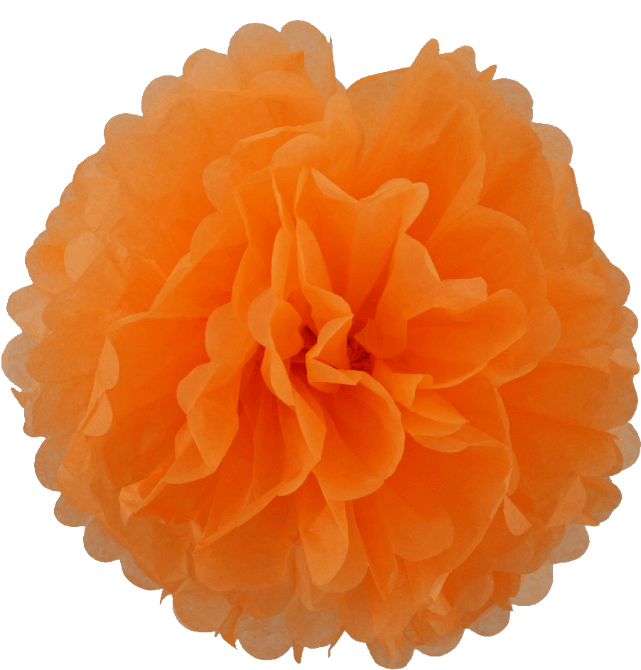 Nadie Te Robe Tu Energía (1000x990), Png Download