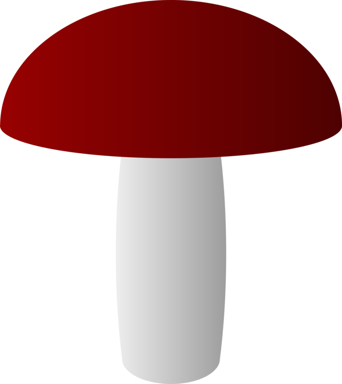 Mushroom Nature Toadstool Others Lighting Angle - Clip Art (667x750), Png Download