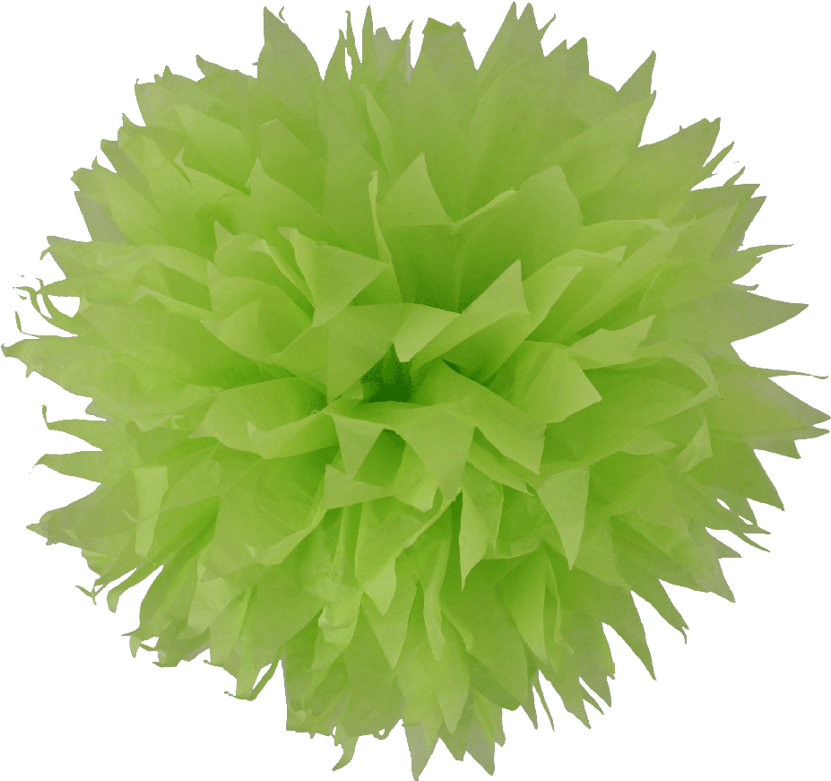 Pompon Papier De Soie Fleur Vert Anis (1000x926), Png Download