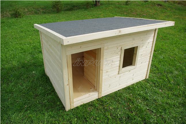 Soojusatud Donna 2 - Dog (800x800), Png Download