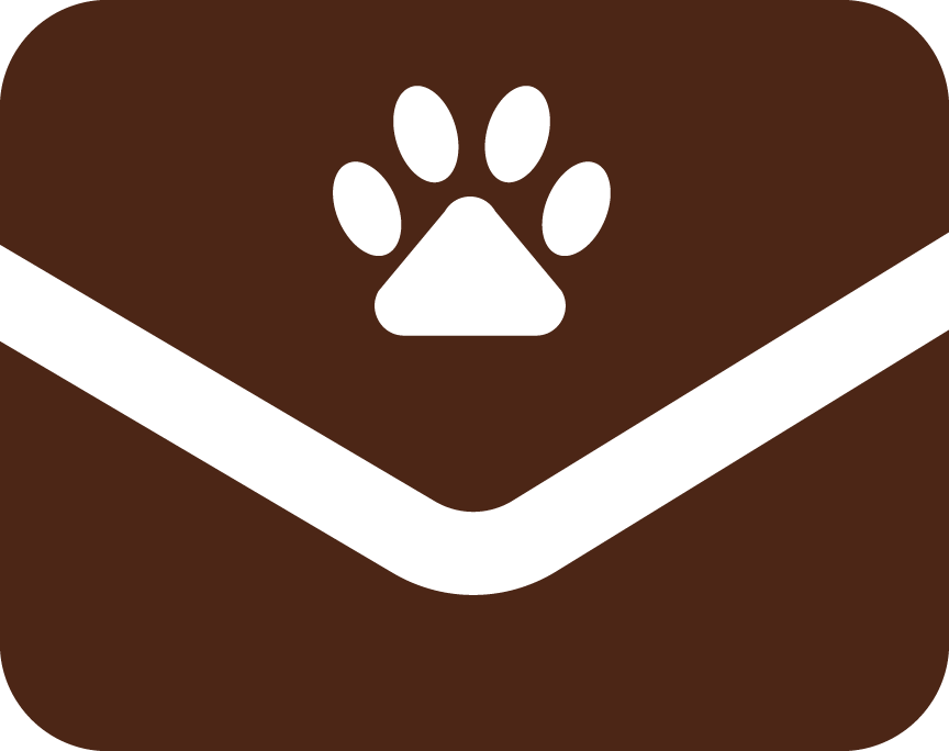 Fetch Mail Icon - Email (864x684), Png Download