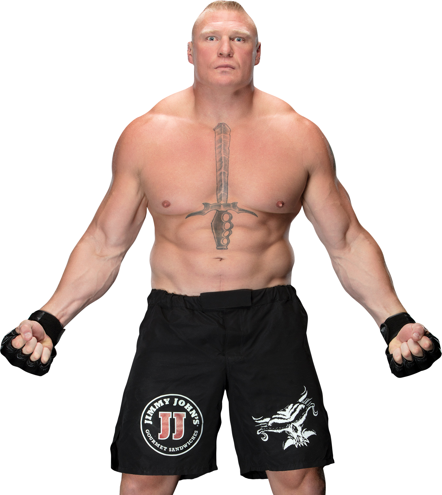 Brock Lesnar Png By Ambriegnsasylum16 Brock Lesnar - Brock Lesnar 2017 Png (1024x1146), Png Download