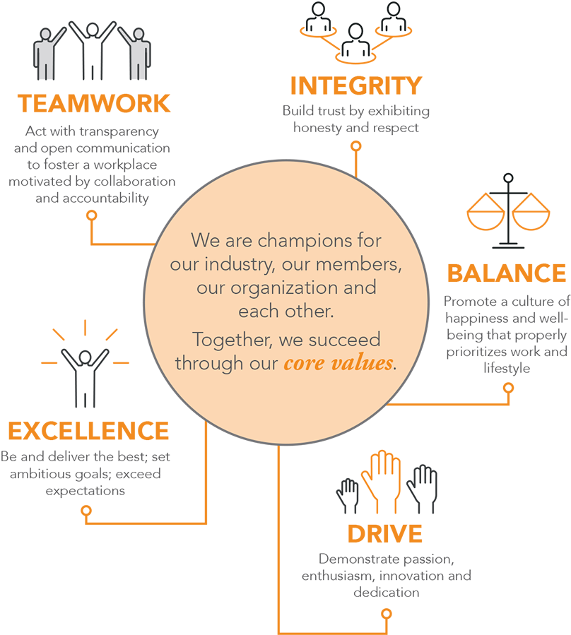 The Vision Council Values - Value (827x918), Png Download