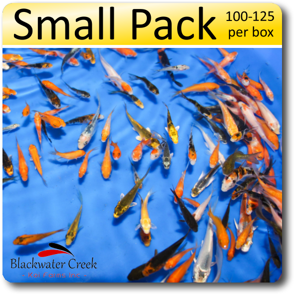 Peanuts Small Pack Free Shipping 100-125 Fish - Koi Peanuts (638x638), Png Download