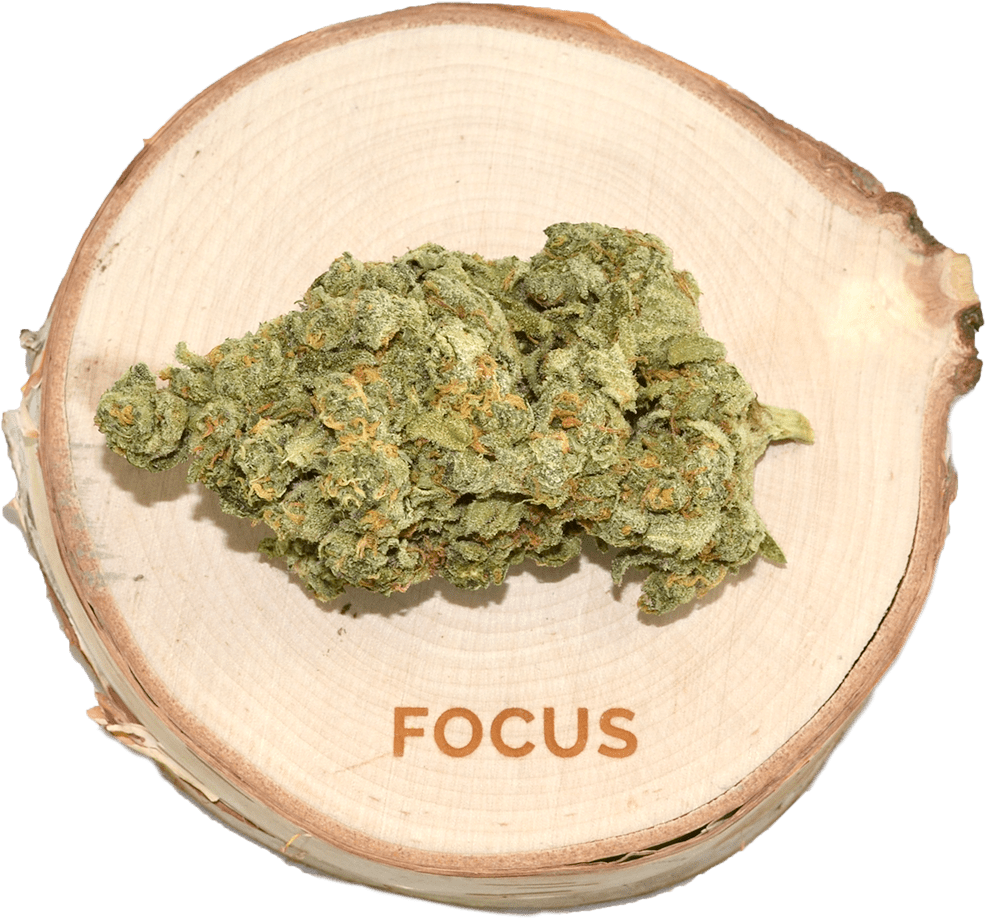 B F Black Label - Coin (1000x1000), Png Download