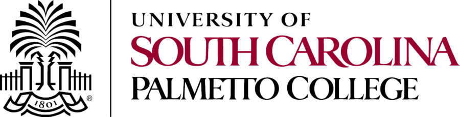 Download University Of South Carolina Arnold School - University Of South Carolina Logo Png (900x230), Png Download