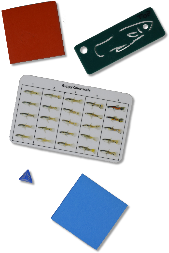 Small Fish Stem Kit - Plastic (696x1037), Png Download