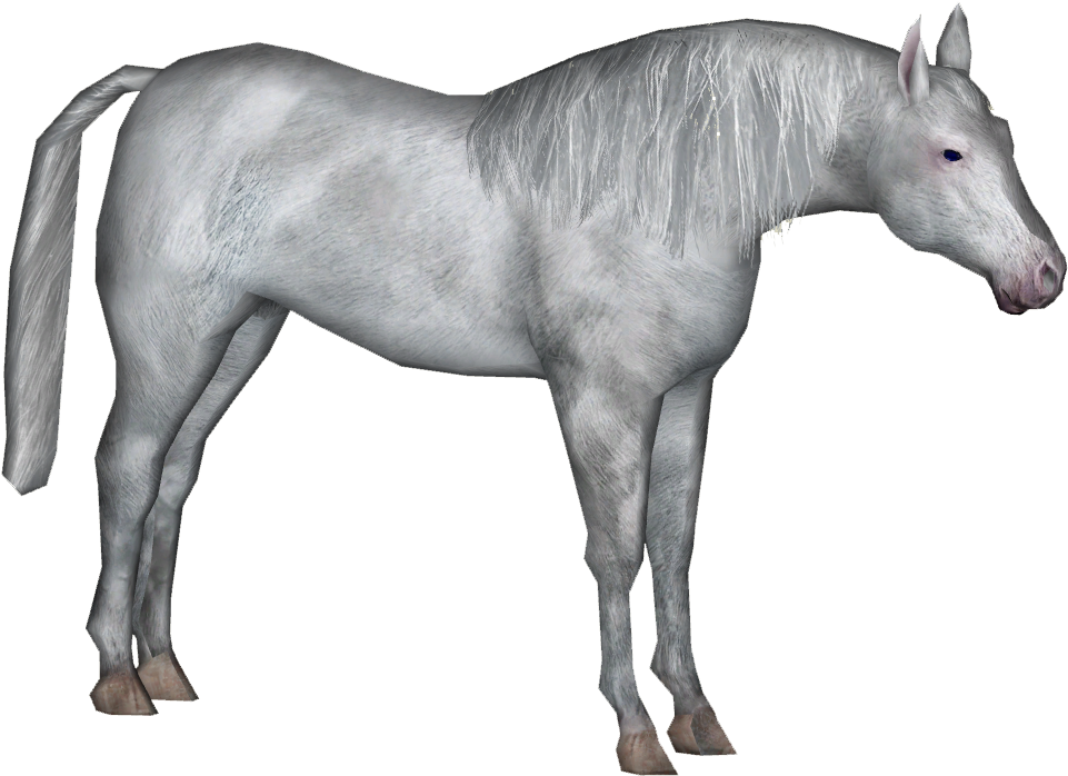 Elven Horse - Wiki (960x960), Png Download
