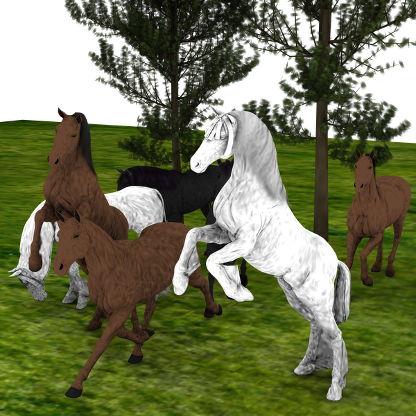 2nd Entry For The Newbie Contest I Need To Find The - Stallion (600x600), Png Download