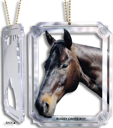 Png Transparent Horse Frames (400x447), Png Download