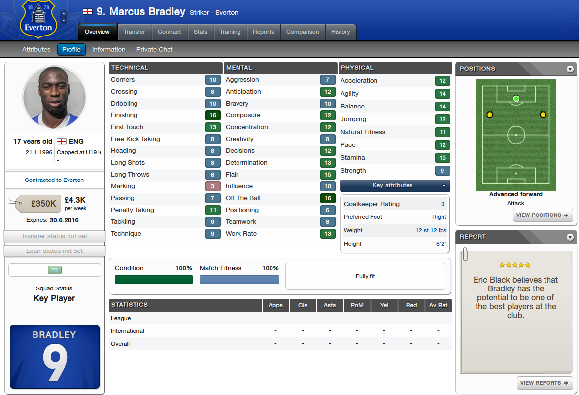 Number9 Views - Everton F.c. (1175x801), Png Download