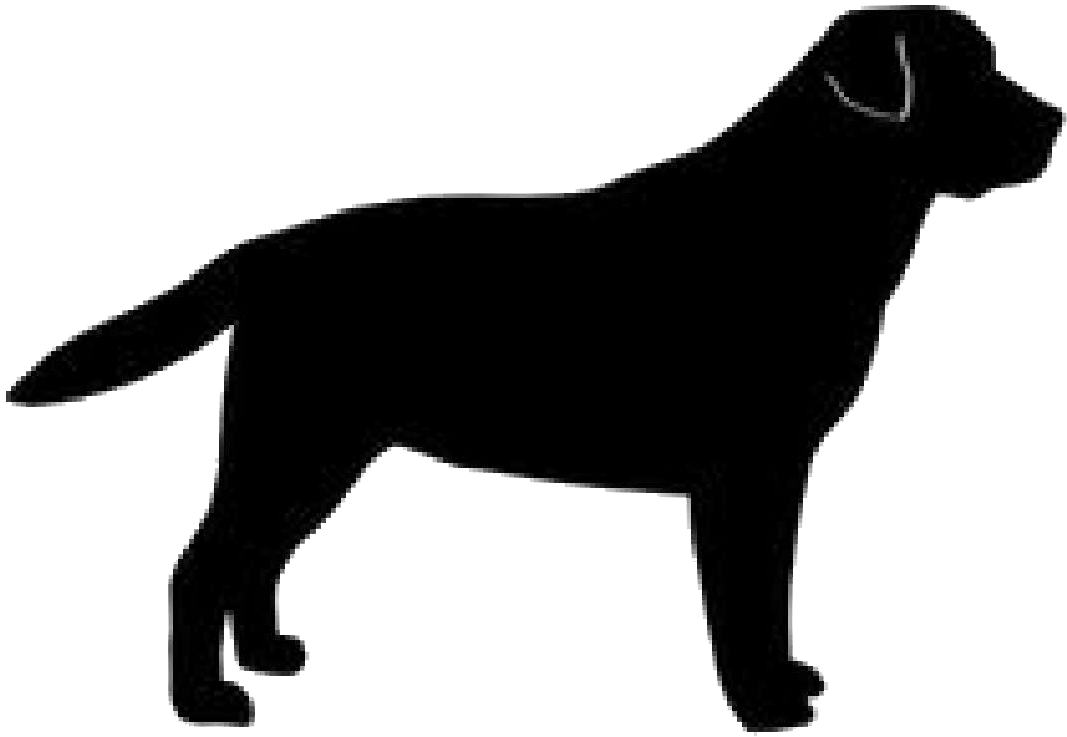 A Black Dog - Labrador Retriever Silhouette Png (1200x1200), Png Download