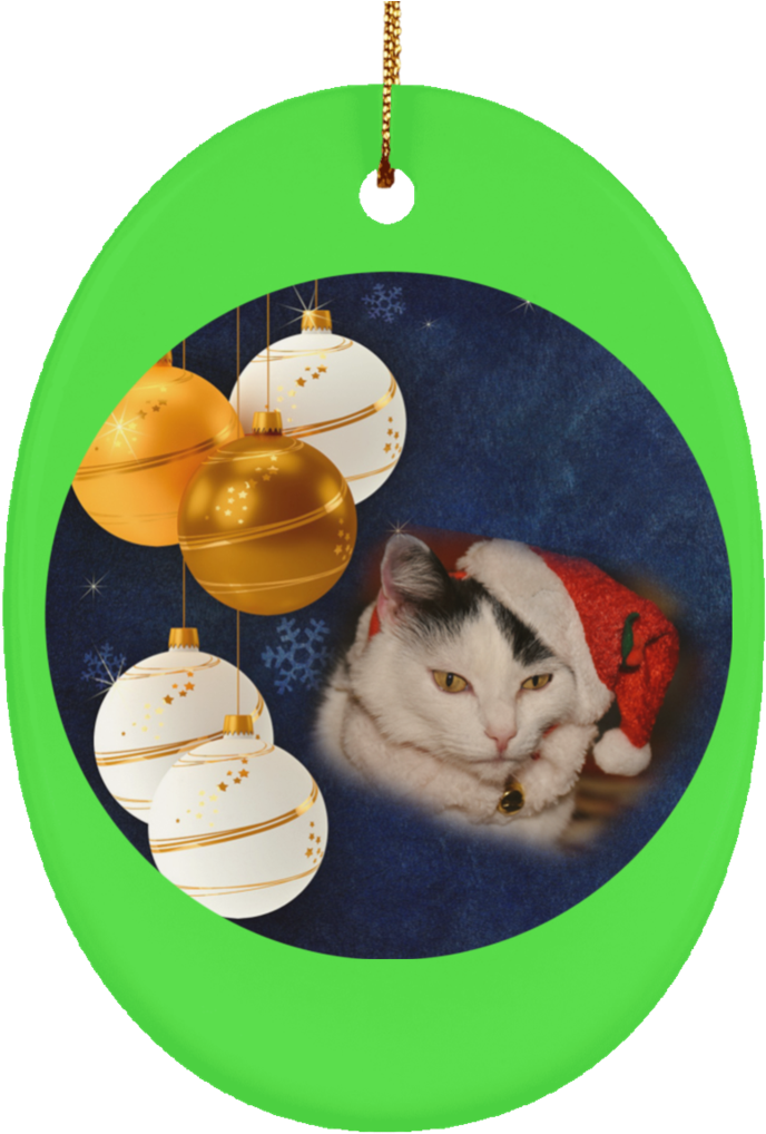 Christmas Cat Photo Ornament - Ethi Pike: Christmas Ornaments Notebook; Paperback; (1024x1024), Png Download