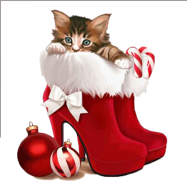 Cat Beds - Happy Friday Christmas (600x600), Png Download