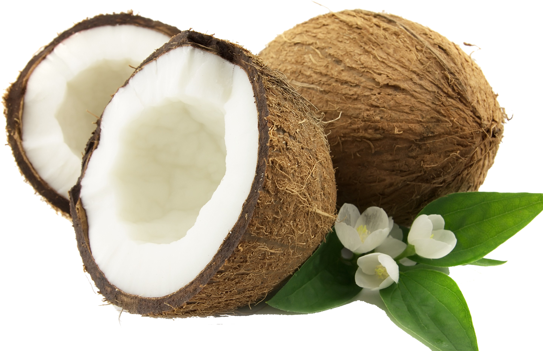 Coconut Png (1920x1277), Png Download