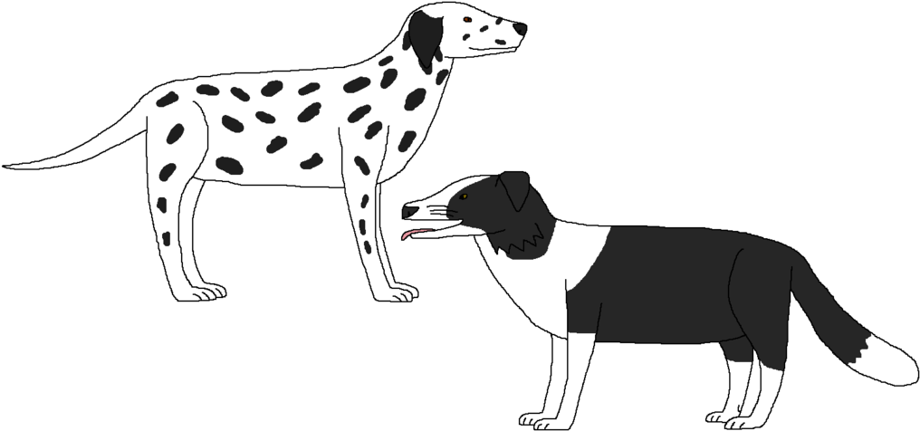 Black And White Dogs By Wildandnaturefan Pluspng - Dog Catches Something (1024x481), Png Download
