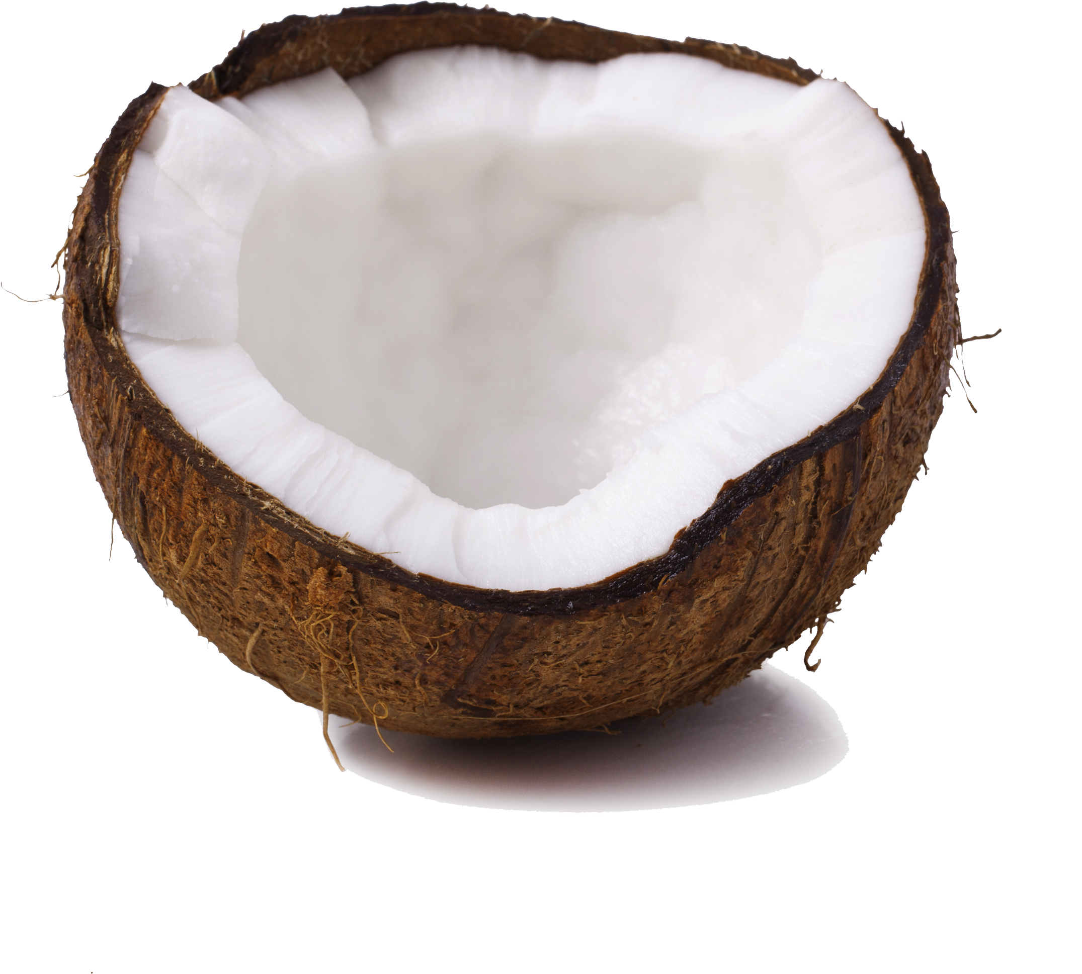 Free Coconut Png - Votief Kaars Green Palm Kokoswas Geurloos (2500x2500), Png Download