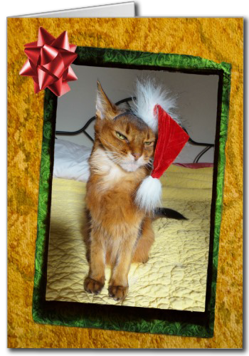 Naughty Christmas Kitty Card - Freche Miezekatze-weihnachtskarte Karte (350x500), Png Download