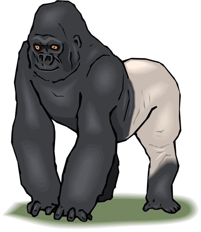 Download Free Printable Clipart And Coloring Pages - Silverback Gorilla Clip Art (652x750), Png Download