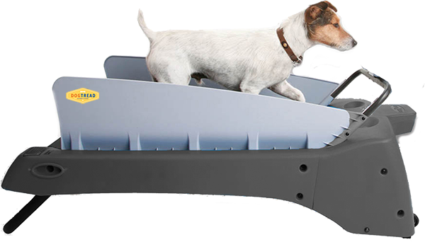 Small Dog Treadmill (600x342), Png Download