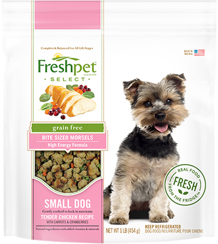 Fresh Pet Small Dog Food (500x500), Png Download