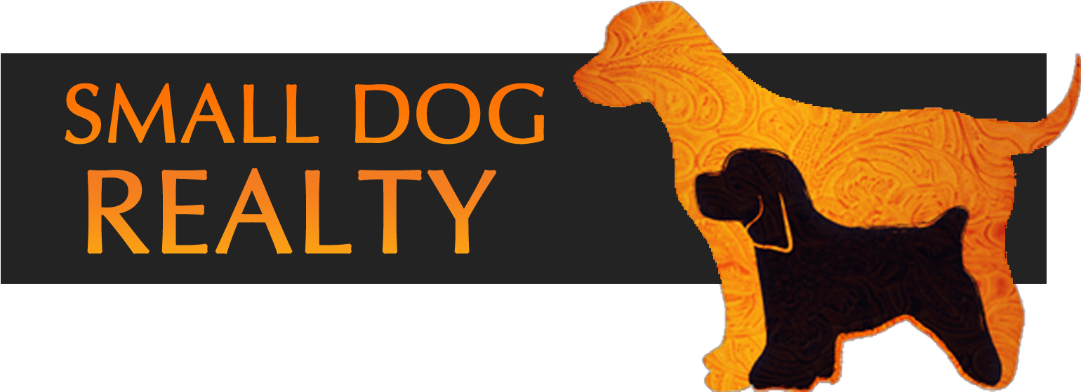 Small Dog Realty Sponsors Bark In The Park 5k Fun Run - Dog Catches Something (1616x635), Png Download