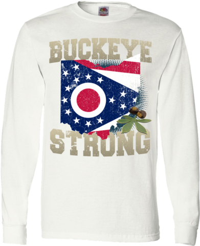 Ohio State Flag (480x480), Png Download