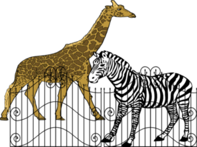 Zebra Silhouette Shower Curtain (640x480), Png Download