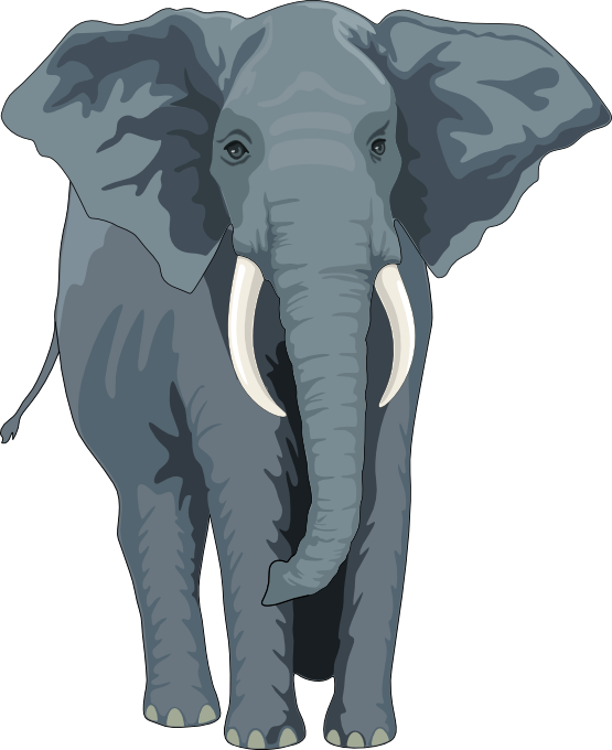 Elephant Clipart, Suggestions For Elephant Clipart, - Elephant Royalty Free (555x680), Png Download