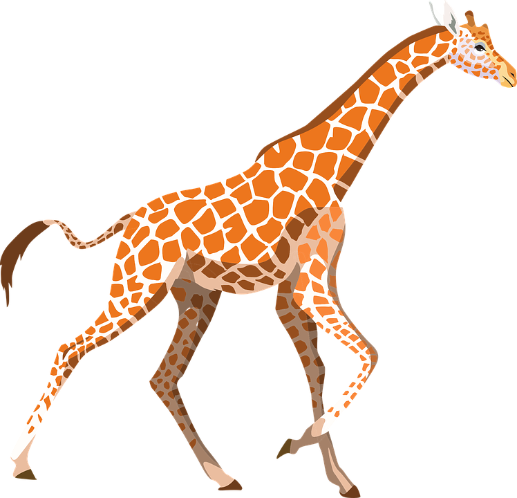 Zoo Animals Clip Art At Clker - Giraffe Clipart Pixabay (748x720), Png Download