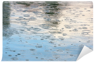 Rain Drops In A Puddle With Some Reflections Wall Mural - Rain (400x400), Png Download
