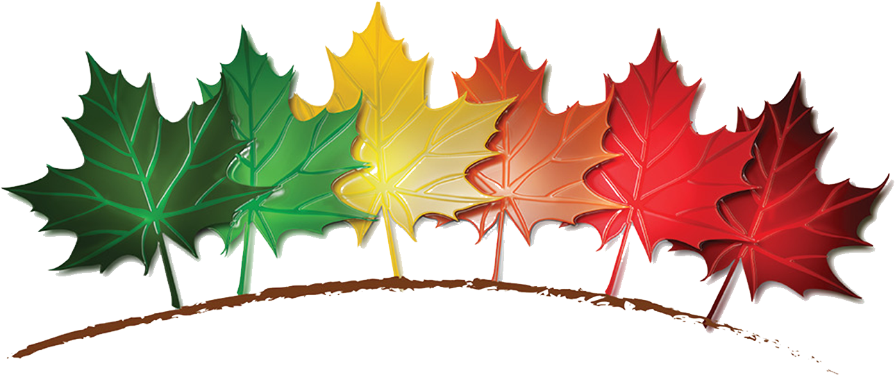 Benjamin Tree Farm (1312x600), Png Download