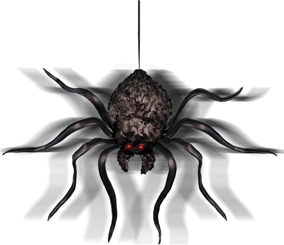 Shaking Spider - Insect (1000x1000), Png Download