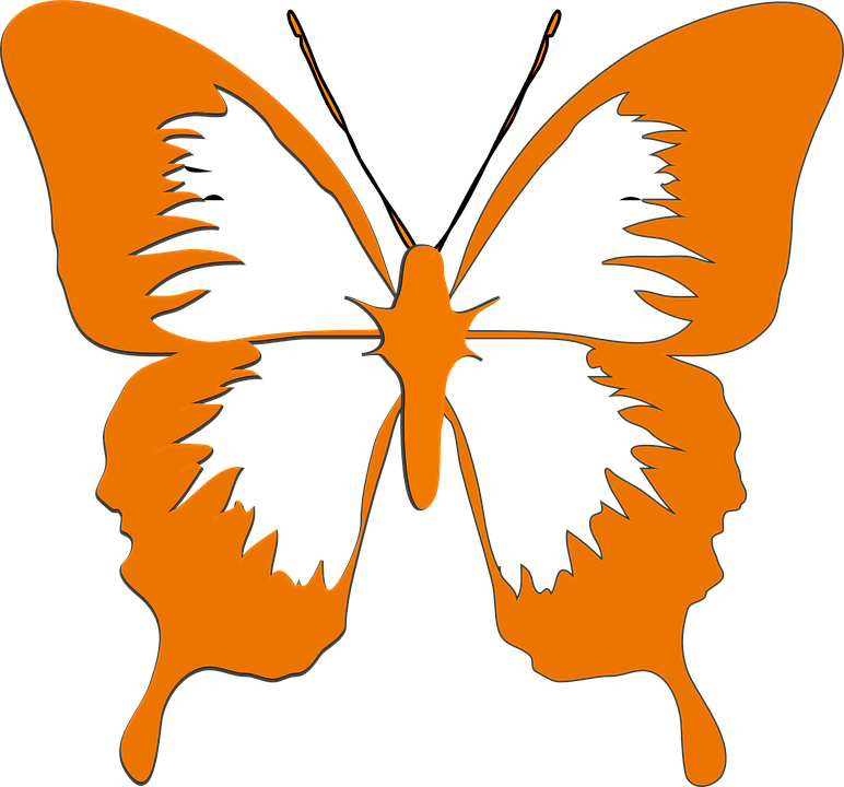 Orange Butterfly Png Clip Art - Gambar Kupu Kupu Cantik (772x720), Png Download