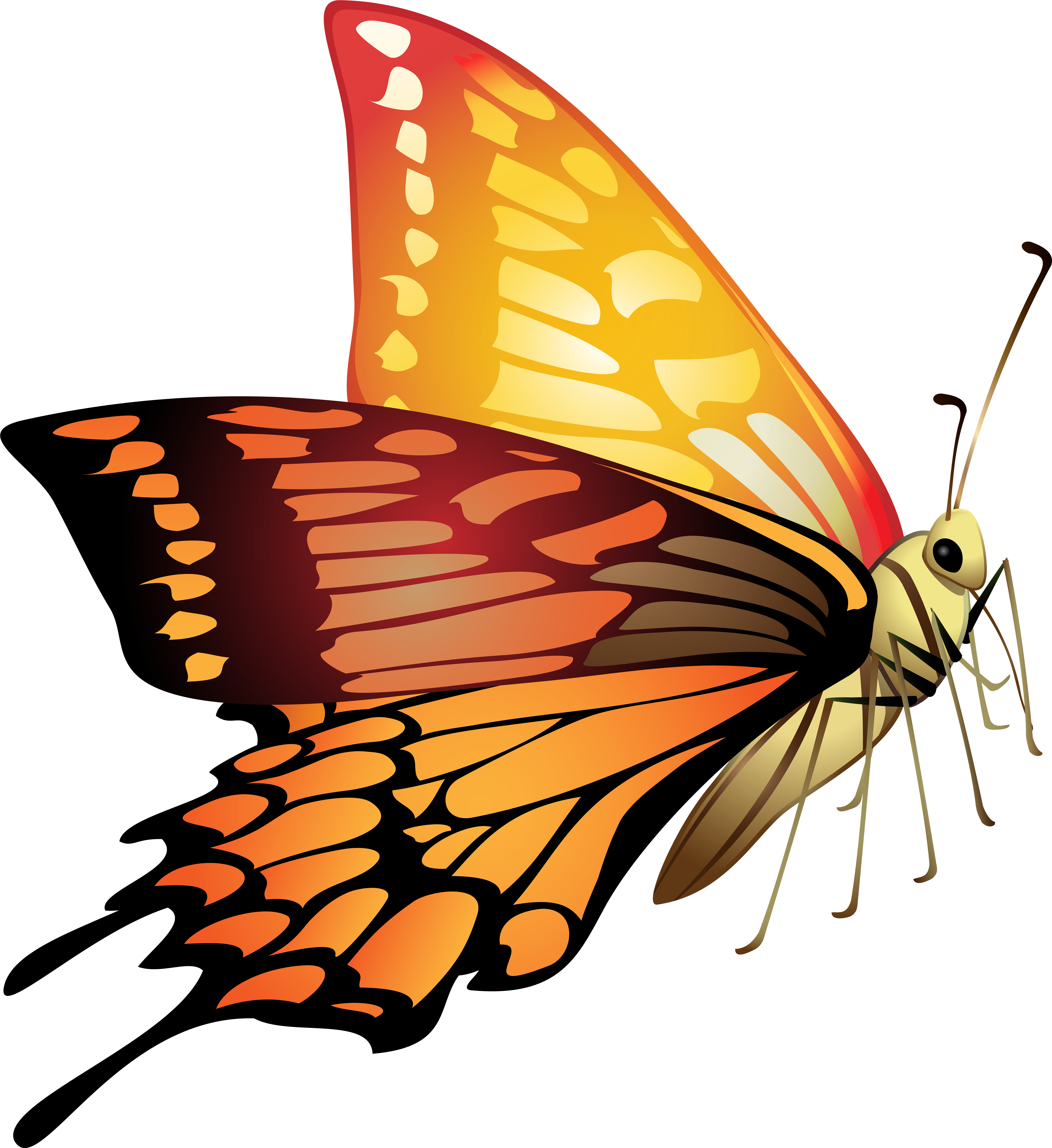 Orange Butterfly Png (7331x8000), Png Download