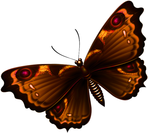 Read It - Butterfly Png Textures (500x447), Png Download