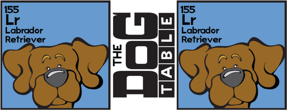 Chocolate Lab Mug - Cartoon (1024x431), Png Download
