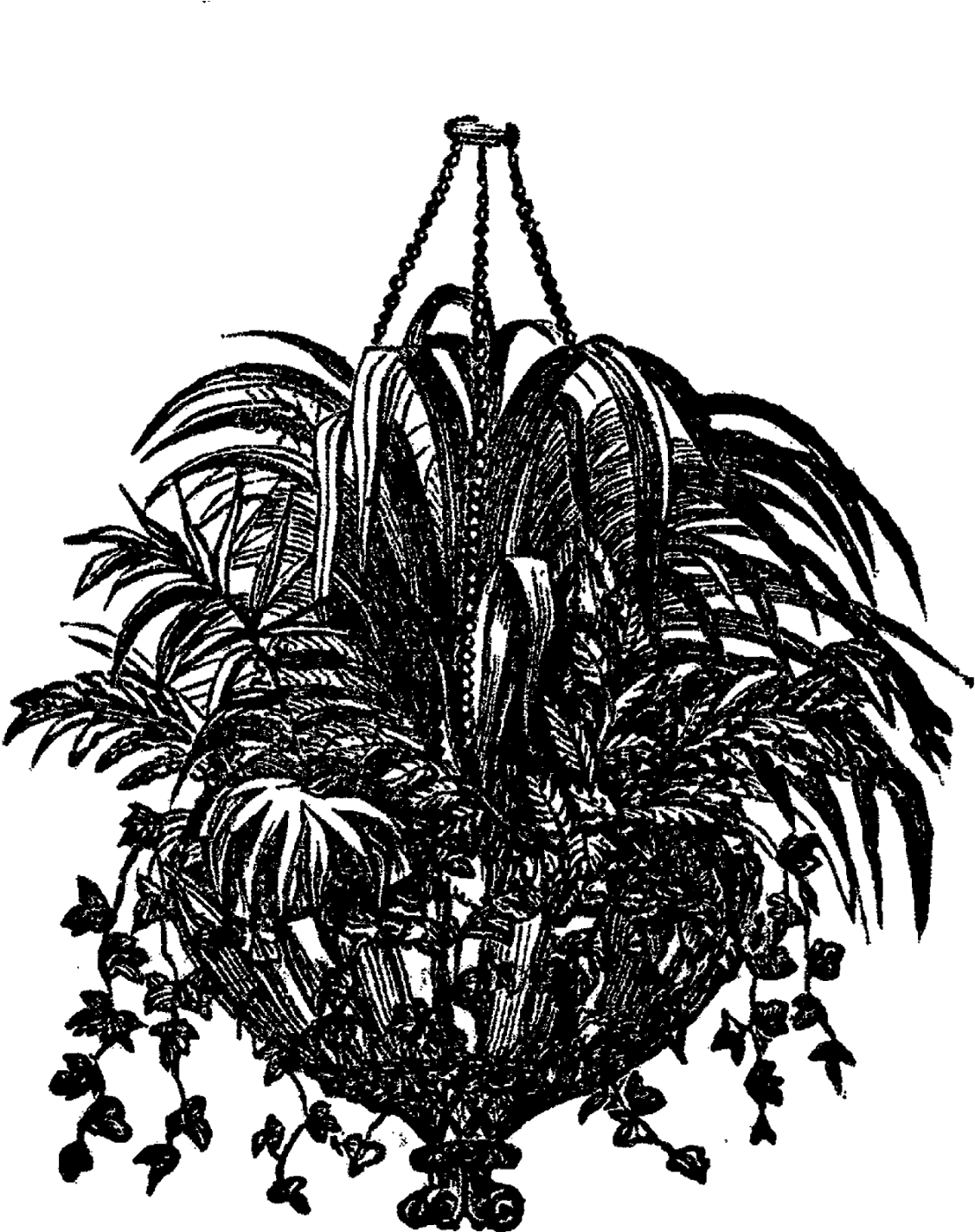 What A Detailed And Beautiful Digital Image Of A Hanging - Digital Scrapbooking (1431x1600), Png Download