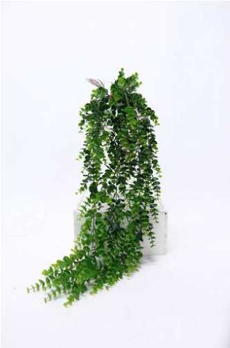 Gum Trees (500x500), Png Download