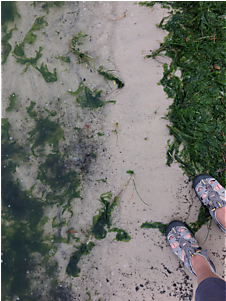 66 Results Found - Concrete (400x300), Png Download