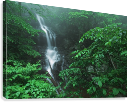 Virginia, United States Of America - Doyles River Falls Shenandoah National Park (429x343), Png Download