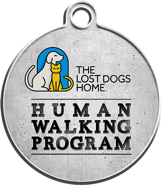 The Human Walking Program - Lost Dogs' Home (709x709), Png Download