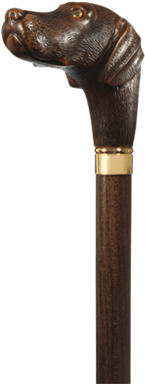 Chocolate Lab Walking Cane - Canes - Labrador Retriever Walking Stick - Chocolate (555x555), Png Download