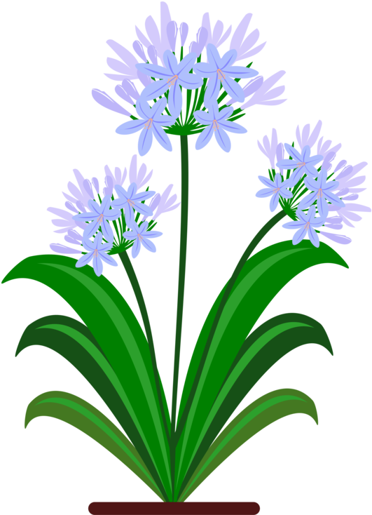 Blue Yellow Flower Green Violet - Botanical Drawing Pdf Agapanthus (750x750), Png Download