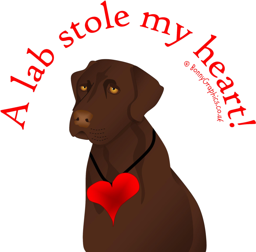 Chocolate Lab Heart> - Iphone Business Card (1000x903), Png Download