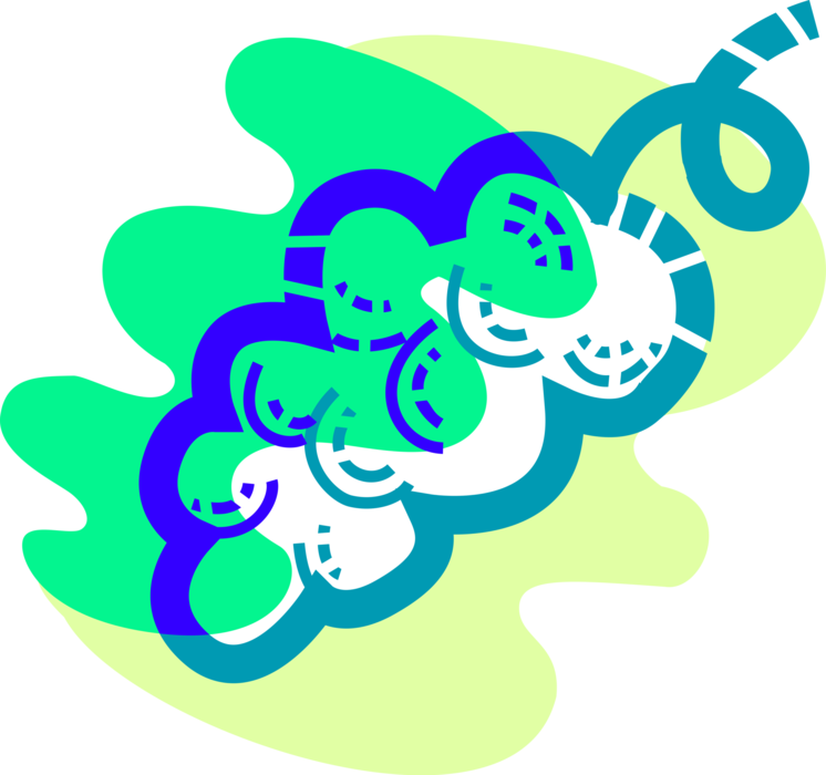 Vector Illustration Of Edible Grapevine Fruit Grapes - Graphic Design (746x700), Png Download